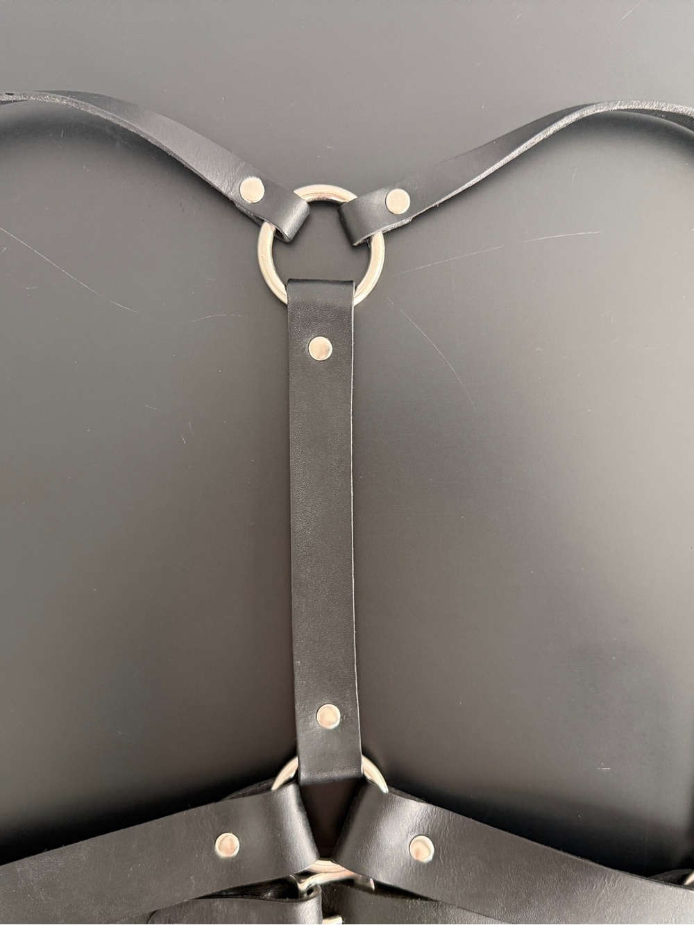ZANA BAYNE - Signature Harness SIZE M - Black Leather Harness - Picture 6 of 7